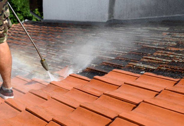 Best Deck Cleaning Services  in North Caldwell, NJ